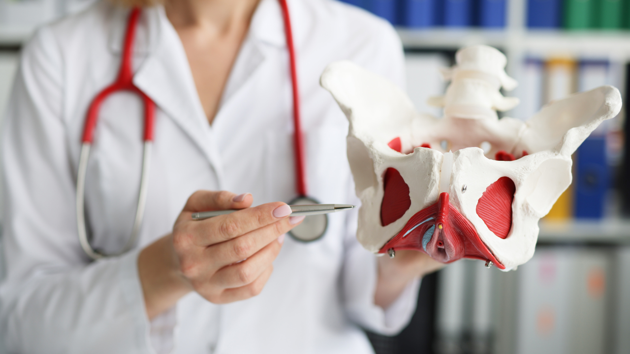Bone Density & Pelvic Floor Check